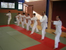 Karate: Oie Zuki